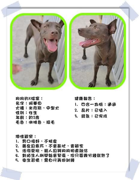 圖檔