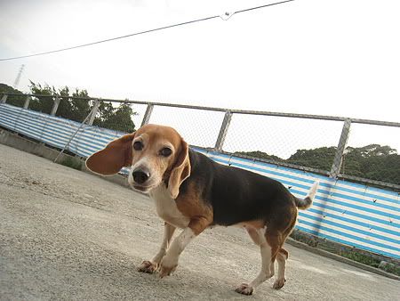 圖檔