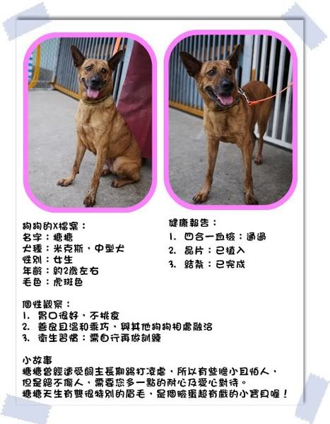 圖檔