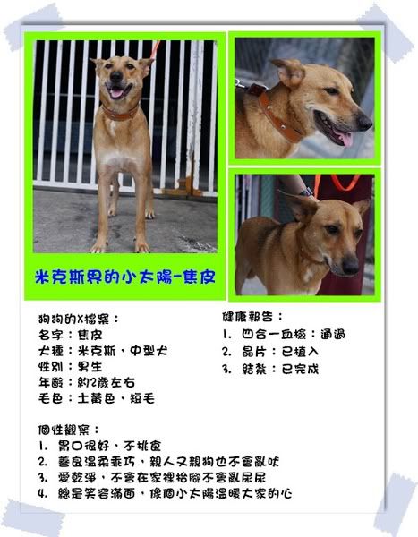 圖檔