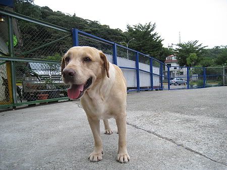 圖檔