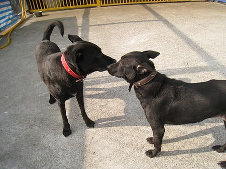 圖檔