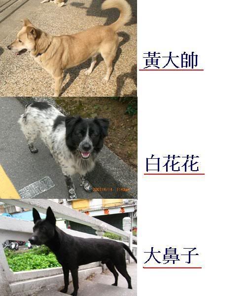 圖檔