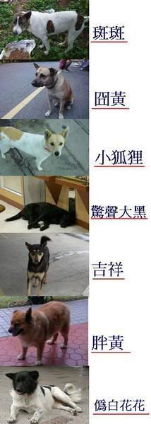 圖檔