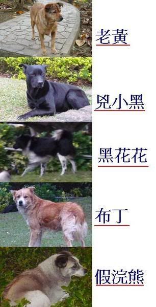 圖檔