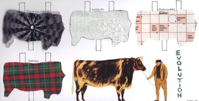 toTormaCauli.Evolution2009.front