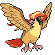NewPidgeot.png