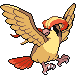 NewPidgeotFinal.png