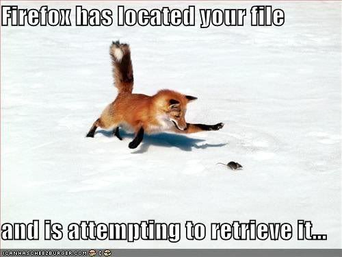 firefox Pictures, Images and Photos