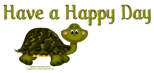 HappydayTurtle.gif