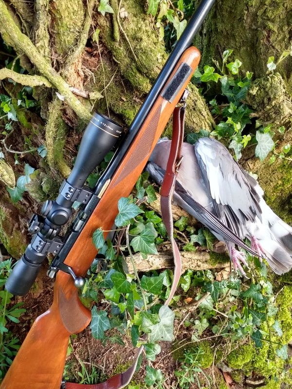 IMG_20170422_200420073_HDR_zpsfw4pvn9w.j