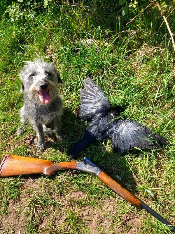 IMG_20170422_132347018_HDR_zpsujqtj3ca.j