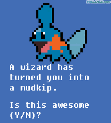 pokemon-mudkip-awesome.gif