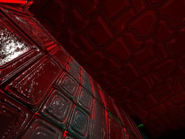 gecko_tubes0004.jpg