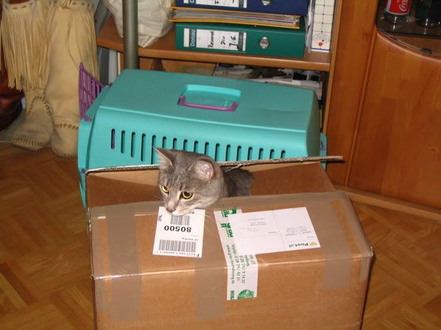 Bild