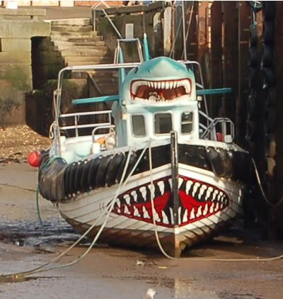 shark.jpg