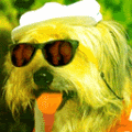 user posted image