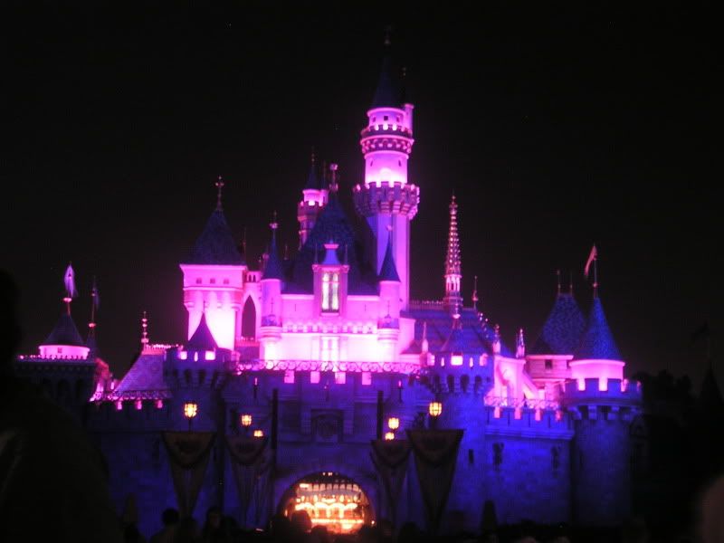 Sleeping+beauty+castle+at+night