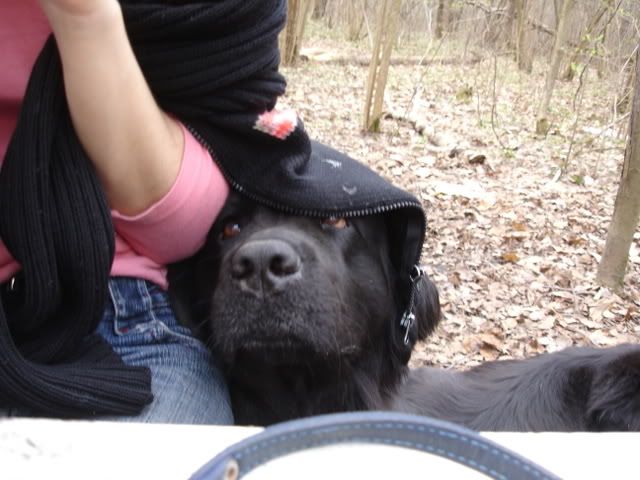 http://i117.photobucket.com/albums/o69/newfka/008.jpg
