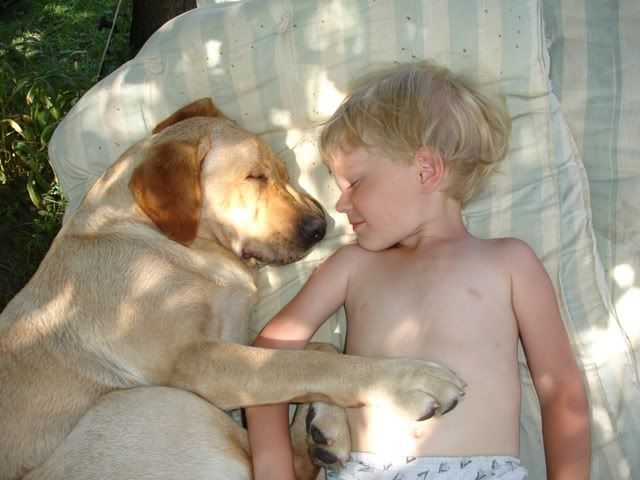 http://i117.photobucket.com/albums/o69/newfka/131.jpg