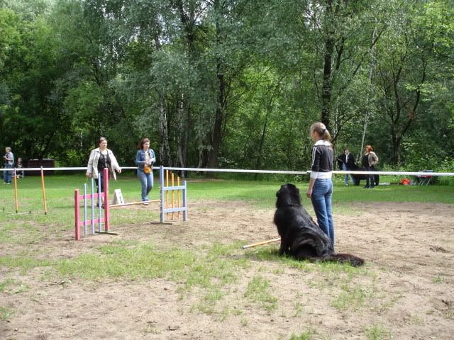 http://i117.photobucket.com/albums/o69/newfka/20080629002.jpg