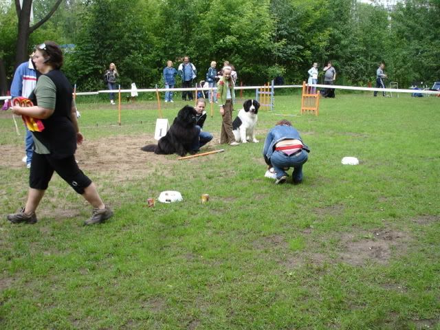 http://i117.photobucket.com/albums/o69/newfka/20080629020.jpg