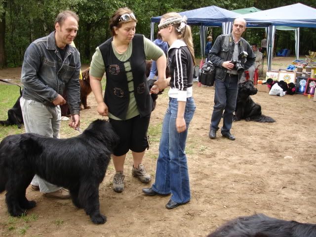 http://i117.photobucket.com/albums/o69/newfka/20080629071.jpg