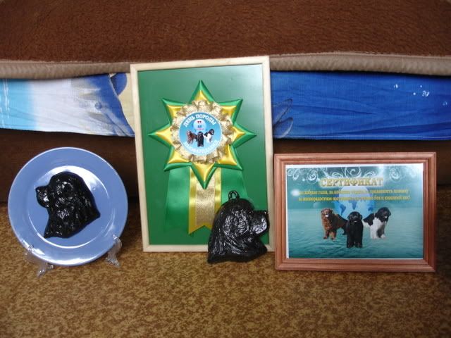 http://i117.photobucket.com/albums/o69/newfka/20080629095.jpg