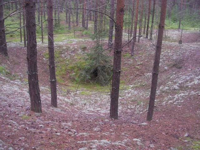 http://i117.photobucket.com/albums/o69/newfka/DSCN2399.jpg