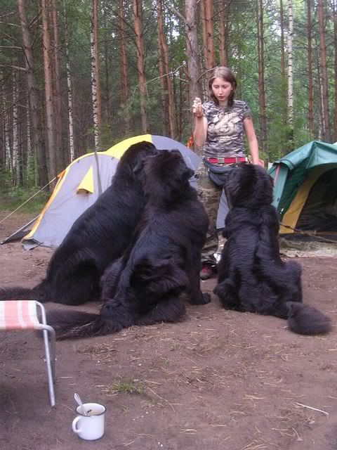 http://i117.photobucket.com/albums/o69/newfka/DSCN2443.jpg