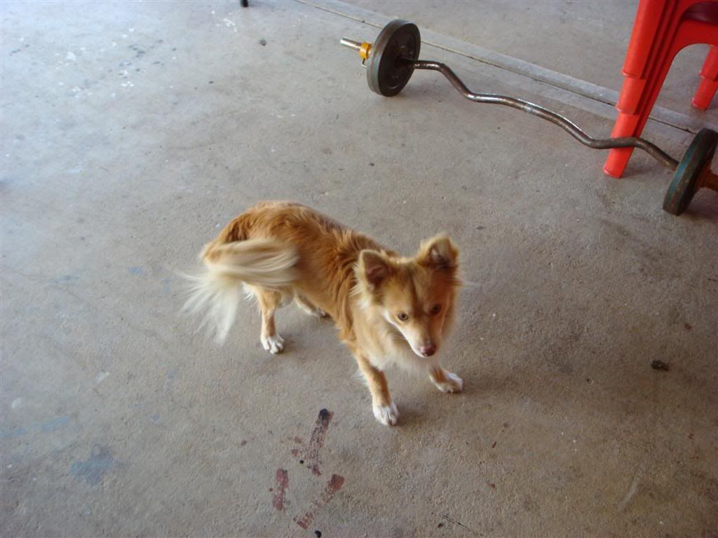 Photo Sharing and Video Hosting at Photobucket