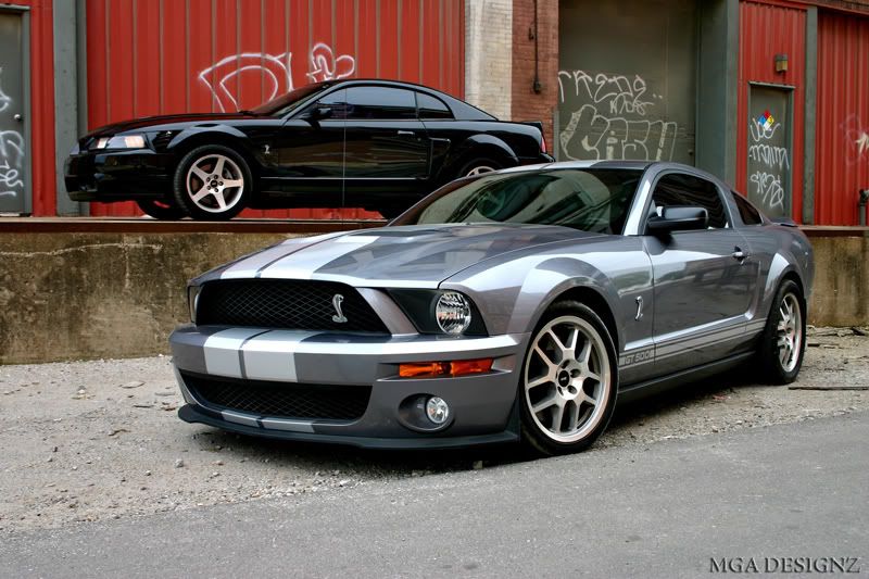 IMAGE: http://i117.photobucket.com/albums/o70/mambroseku/IMG_6441.jpg