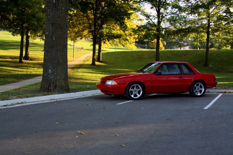 IMAGE: http://i117.photobucket.com/albums/o70/mambroseku/Kyle%20Mustang/IMG_0178.jpg