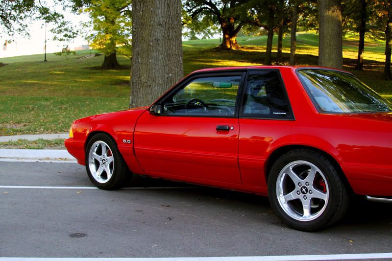 IMAGE: http://i117.photobucket.com/albums/o70/mambroseku/Kyle%20Mustang/IMG_0237.jpg