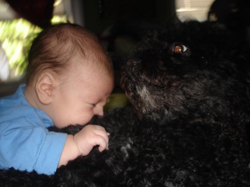 DSC01133.jpg doggy hugs image by ramos_family_photos