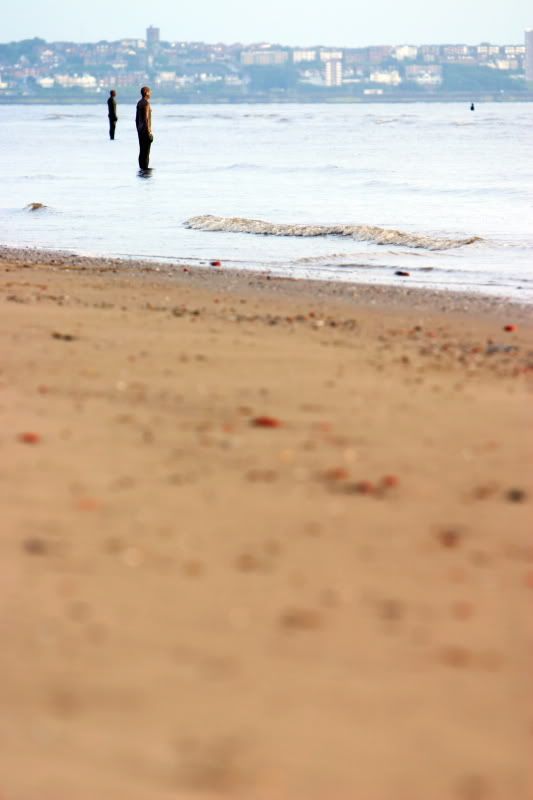 IMAGE: http://i117.photobucket.com/albums/o71/manipula/Holiday/Crosby_0010.jpg