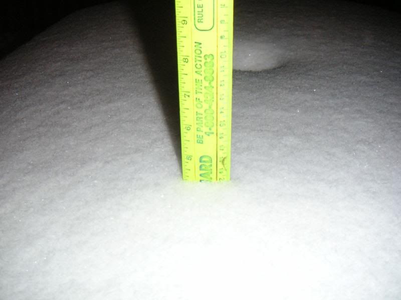 2007snow010.jpg