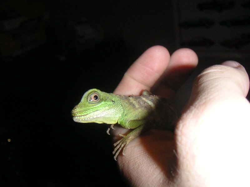 2008christmas005.jpg