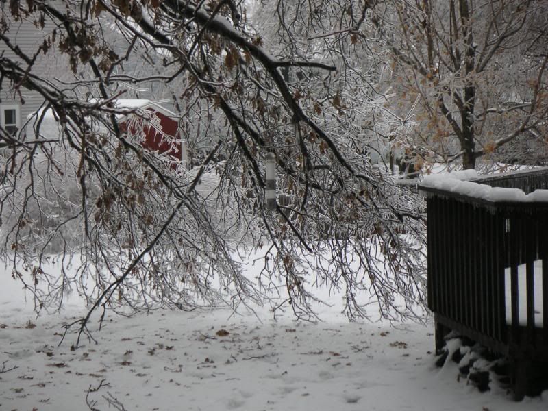 ice006.jpg