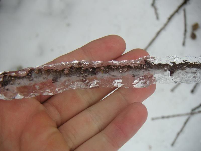 ice016.jpg