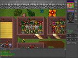 TibiaPhoto0046.jpg My house image by Titaniumplayer