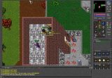 TibiaPhoto0018.jpg Warlock killing xD image by Titaniumplayer