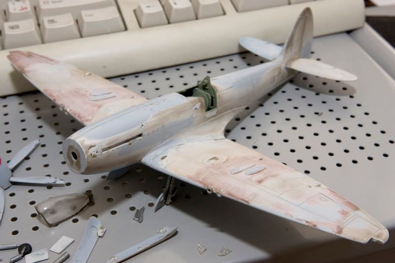 stripped.jpg