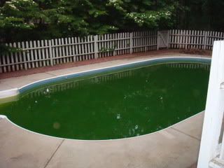 greenpool