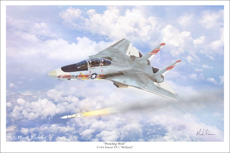 F-14TomcatVF-116x24Print800a_zpsa2177161.jpg