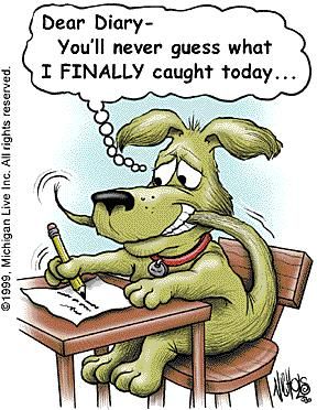 Dogs