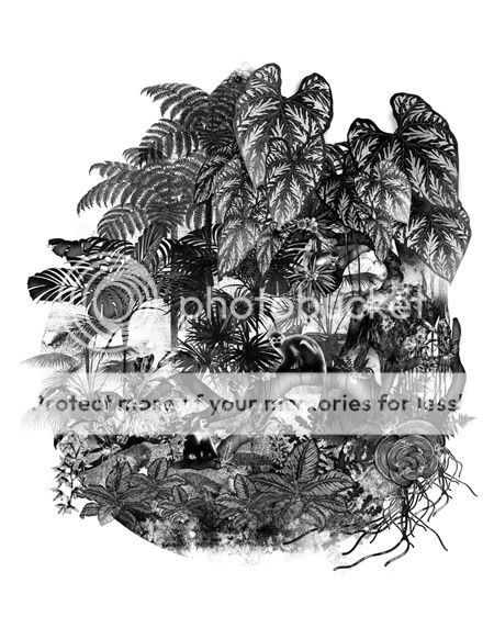 tatiana arocha rainforest sanctuaries illustration