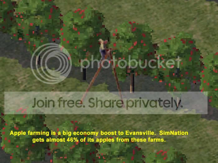Apple-Farm.jpg