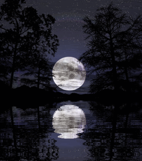 Midnight Moon shine
